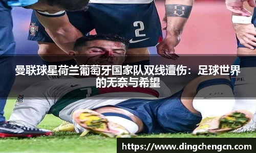 球速体育平台登录入口