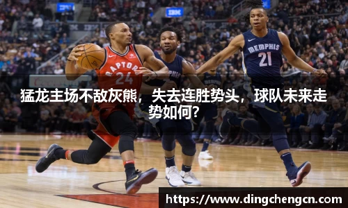 猛龙主场不敌灰熊，失去连胜势头，球队未来走势如何？