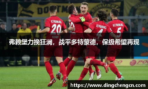 弗赖堡力挽狂澜，战平多特蒙德，保级希望再现