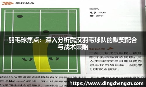 羽毛球焦点：深入分析武汉羽毛球队的默契配合与战术策略