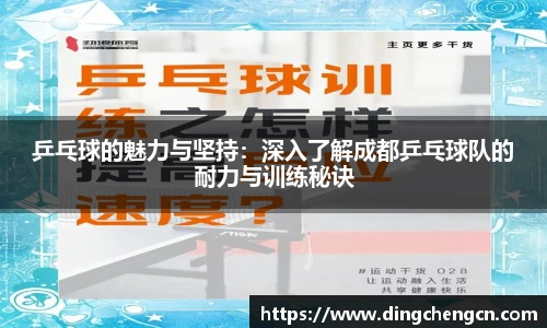 乒乓球的魅力与坚持：深入了解成都乒乓球队的耐力与训练秘诀