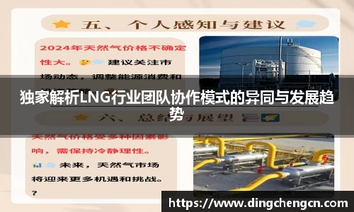 独家解析LNG行业团队协作模式的异同与发展趋势