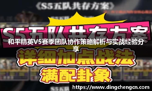 球速体育平台登录入口