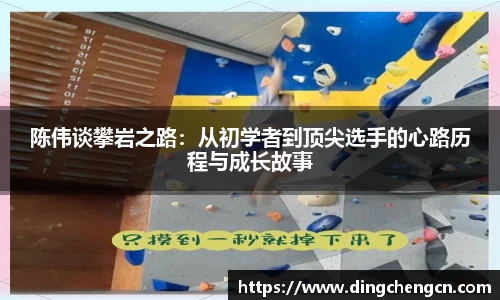球速体育平台登录入口