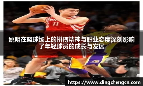球速体育平台登录入口