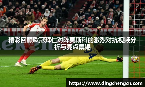 球速体育平台登录入口