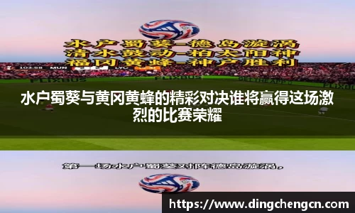 水户蜀葵与黄冈黄蜂的精彩对决谁将赢得这场激烈的比赛荣耀